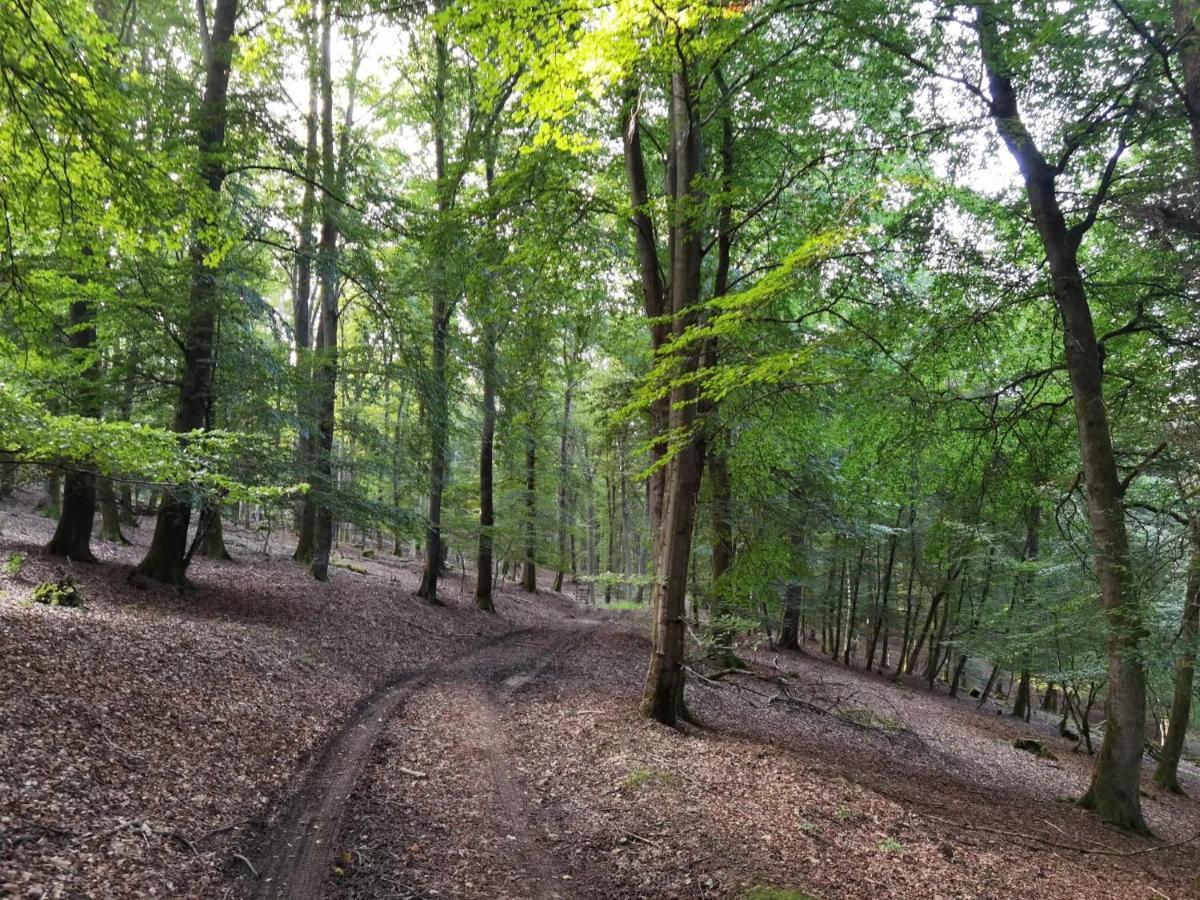 Ferienwohnung Hockertz Habscheid エクステリア 写真